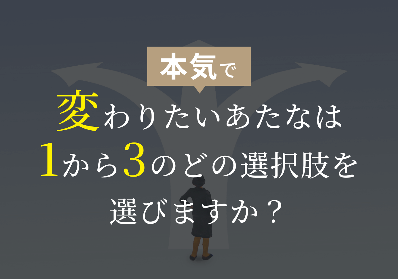 どの選択肢を選びますか？