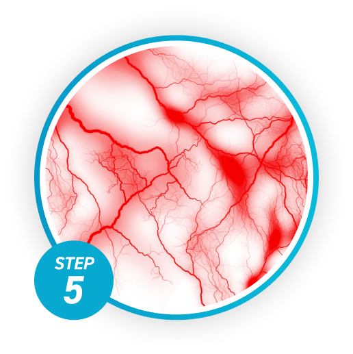 血流観察（専用機器での観察）