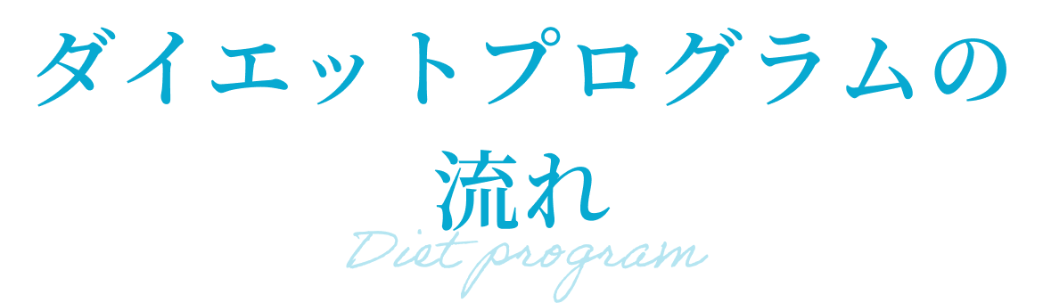ダイエットプログラムの流れ